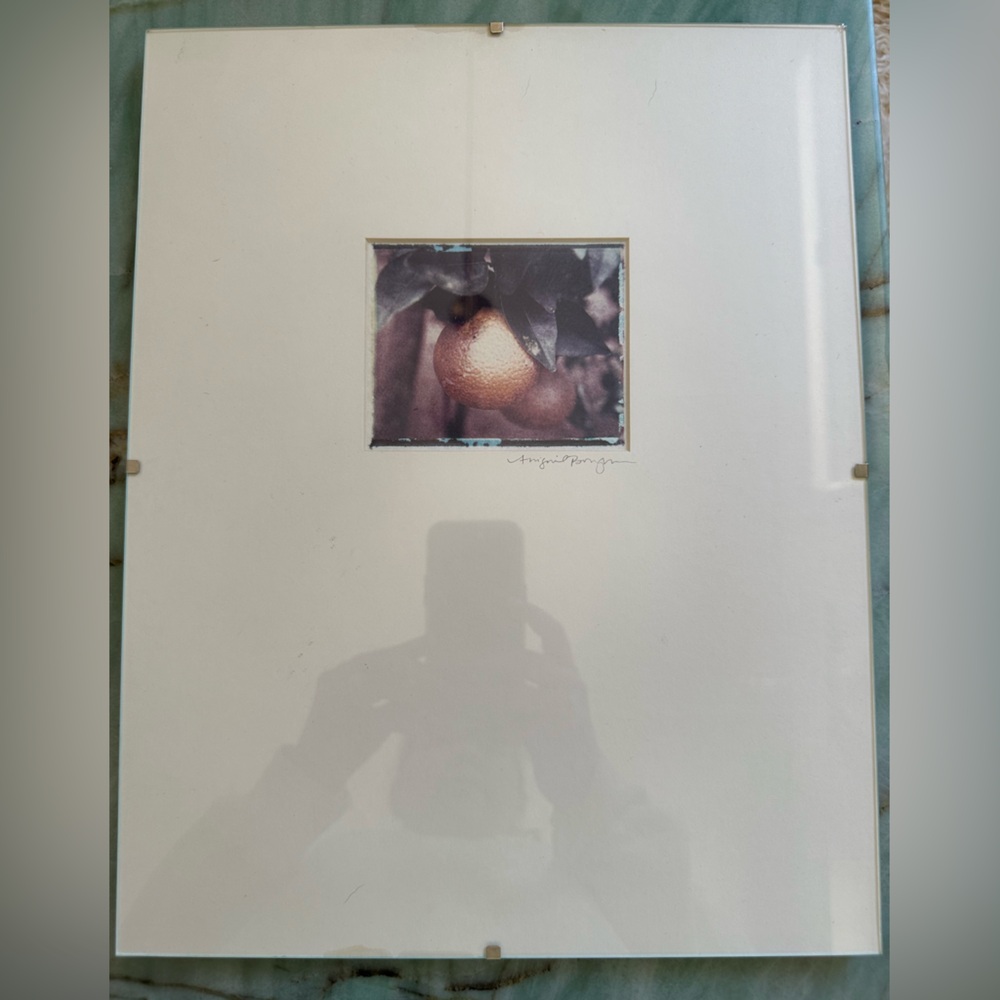 Art Print with Orange Fruit